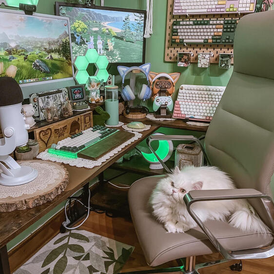 Schedule Office Chair